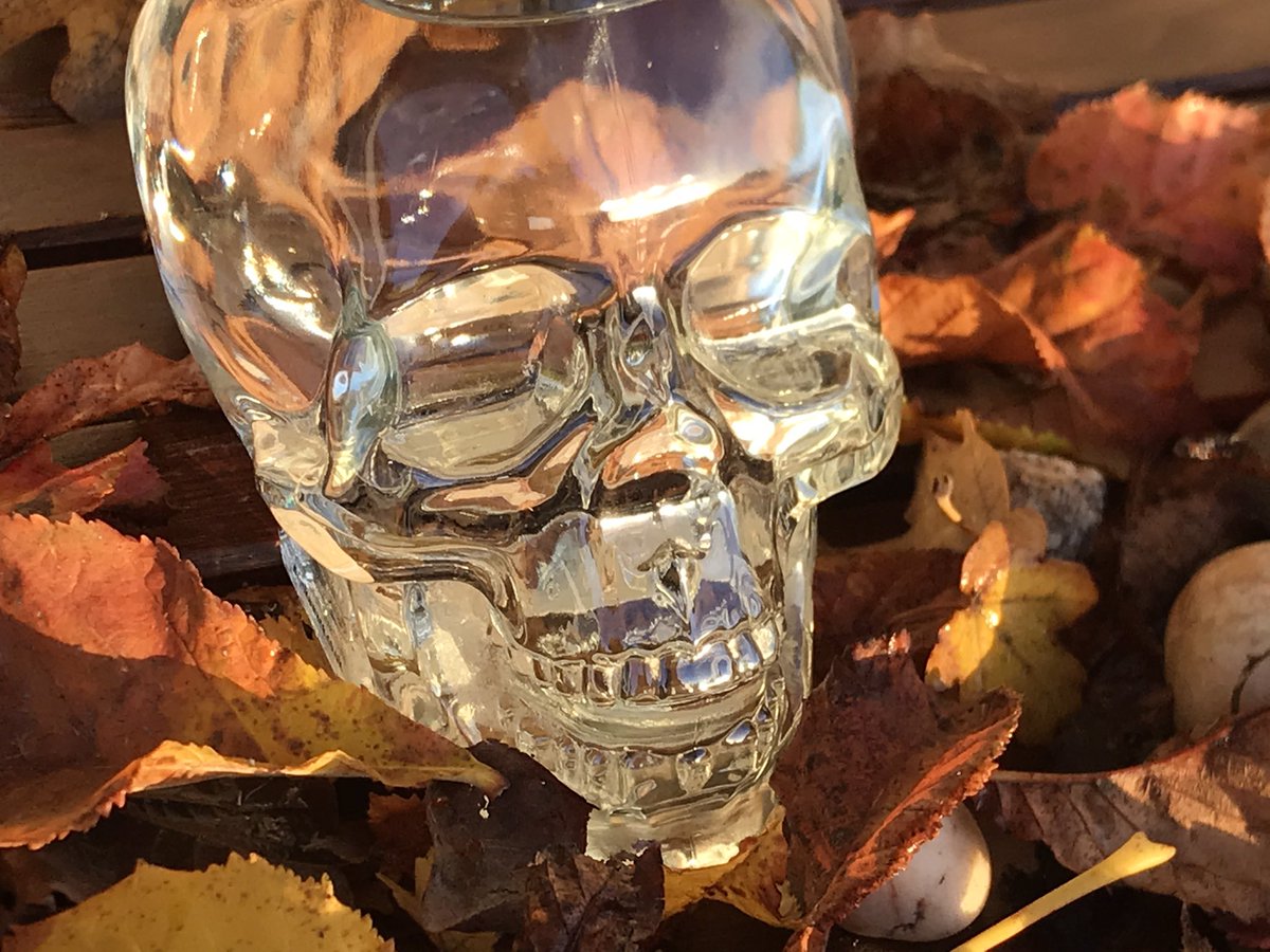 SinWorcester's tweet photo. *** COMPETITION ***
Win the Spookiest drink around “CRYSTAL HEAD VODKA” for you and your mates to share this HALLOWEEN 🎃 at Bushies 2-6pm on Saturday
For an afternoon sesh 👻👻
Just like the post, tag 3 mates and share the post 🎃
HAPPY HALLOWEEN 👻

https://t.co/Ko4ZsEyX9w https://t.co/PPyQwfL6Ol
