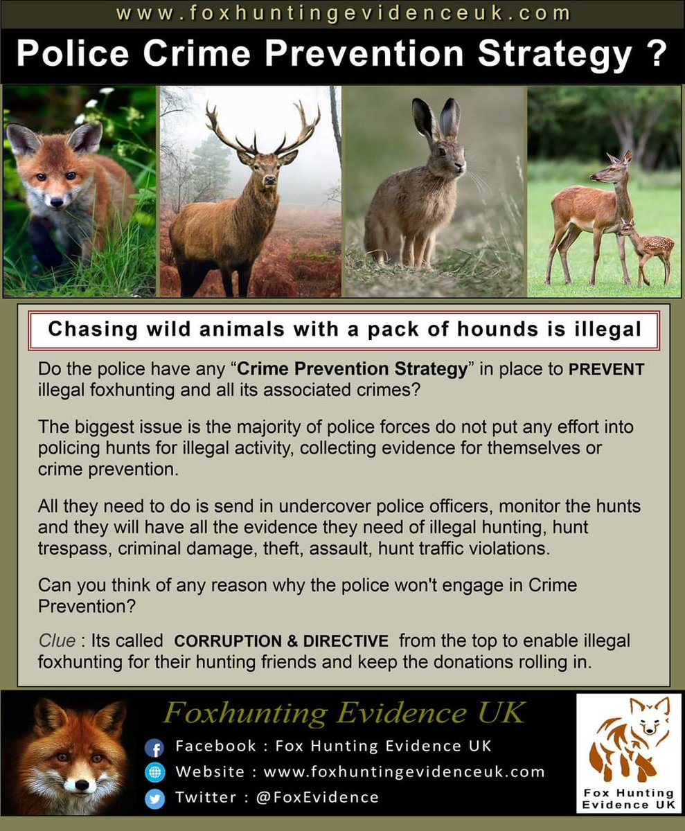 cktCCFCPUSB's tweet image. #BackTheBan  #BanHuntingWithDogs 
#TrailHuntLies 
#BriberyAndCorruption 
#PoliceCorruption #SaveOurWildlife
