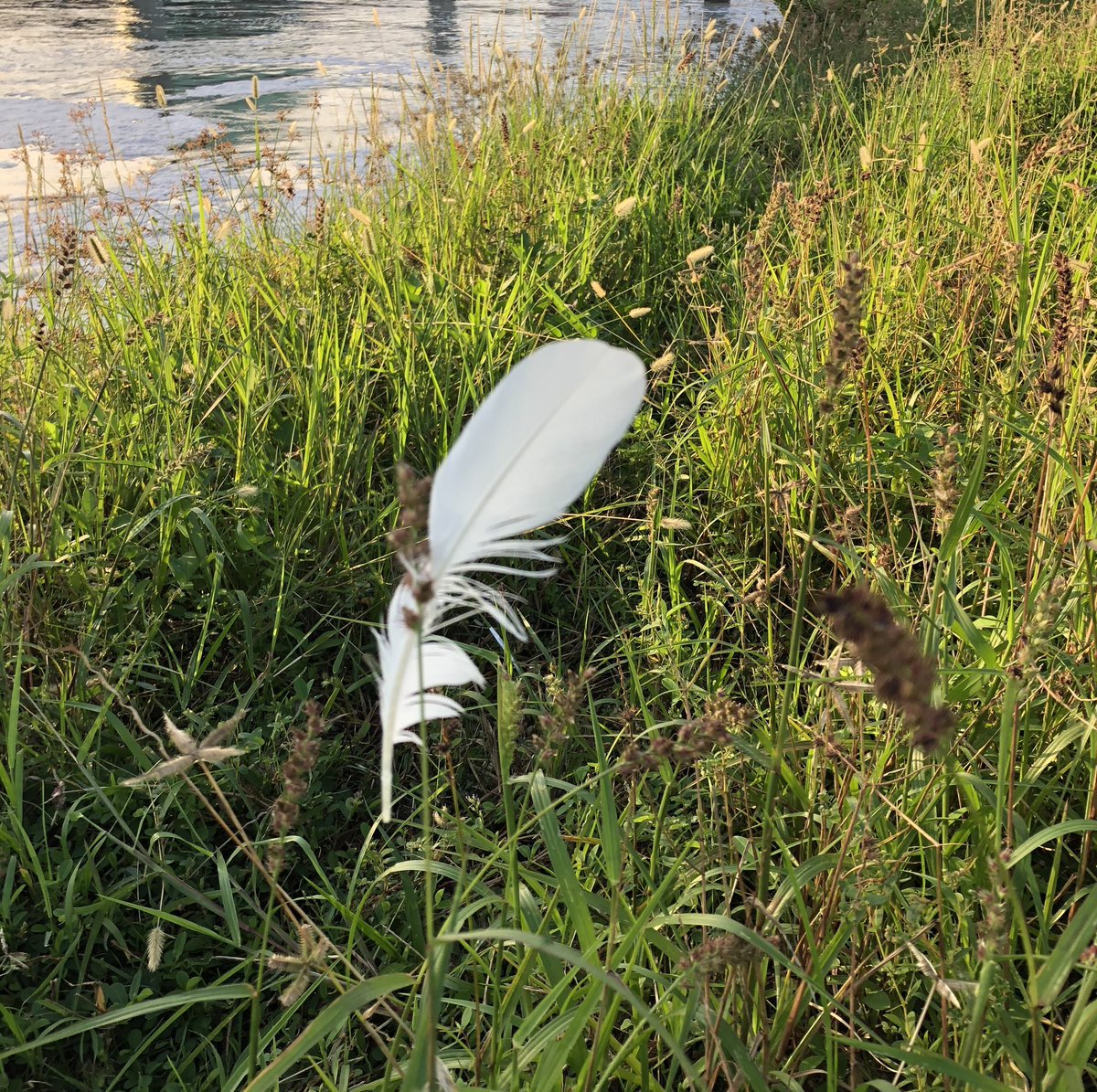 Start everyday thankful you got to the starting line ;) .