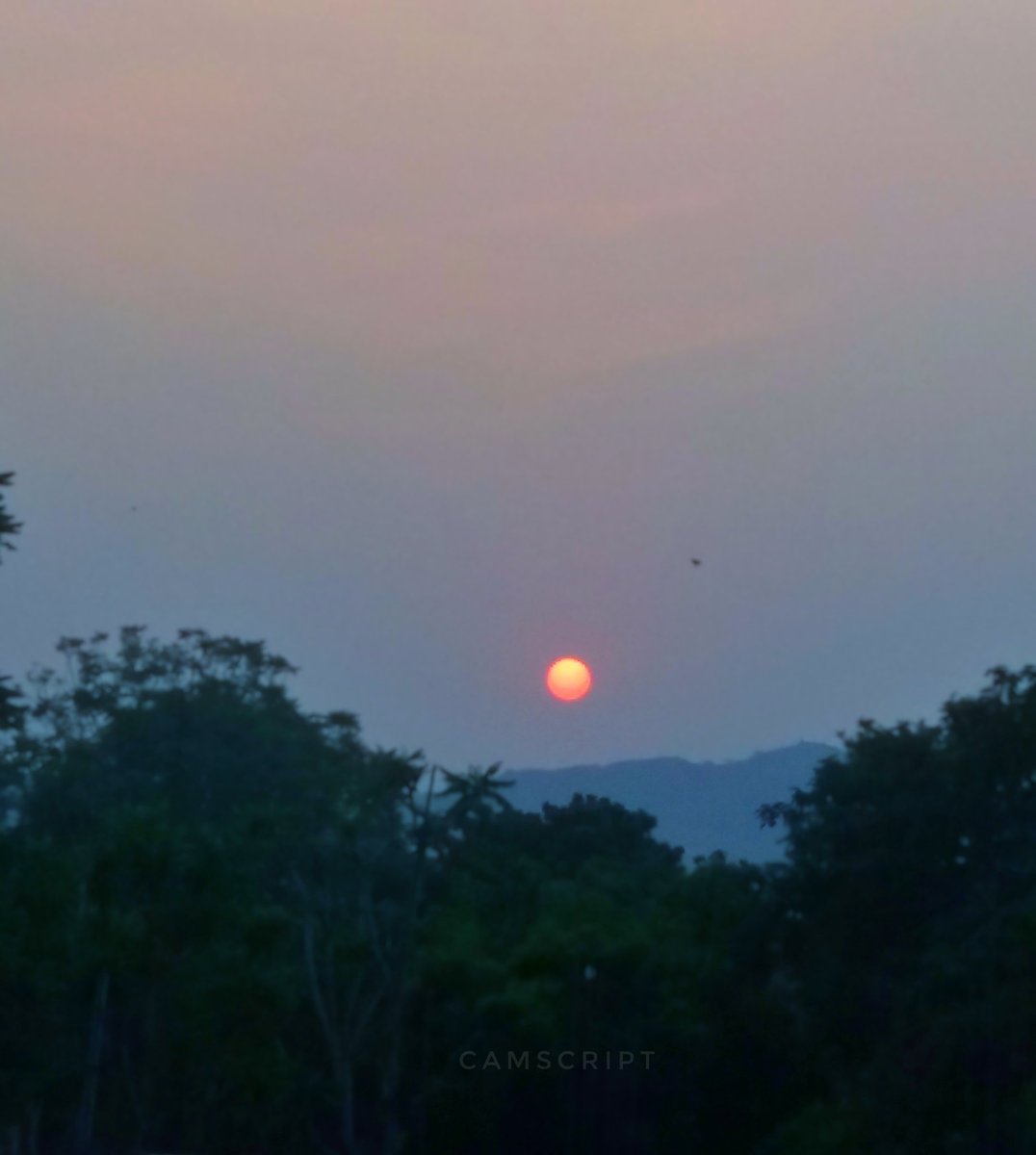 TheCamScript's tweet photo. Winter sunset 😍 #camscript
#camscriptphotography ...
.

#sunsetphotography #sunsetlovers #down #dusktilldawn #sunrise #mobilephotography #eveningwalk #everyday #instadaily #eveningsky #morningmotivation  #meditation #sunsetpoint #jaipur #sunsets #jaipurphotography https://t.co/3QTrlXU9QK