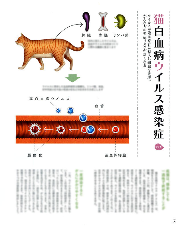 【仕事】
ベネッセ「ねこのきもち」12月号
図解「うつる」「再発する」病気ページの
イラストレーションを担当しました。
猫ちゃんと同居されている方は、是非!
https://t.co/rjK4F1hxD0 