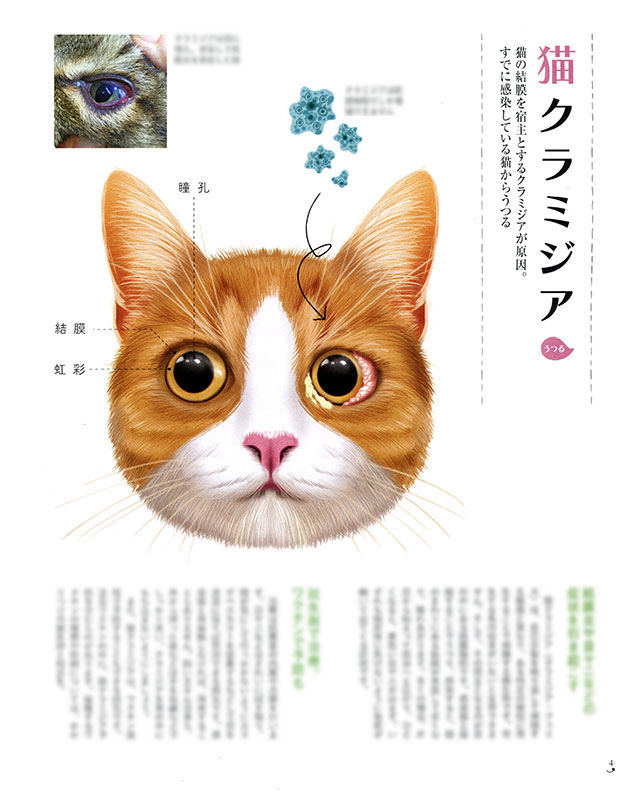 【仕事】
ベネッセ「ねこのきもち」12月号
図解「うつる」「再発する」病気ページの
イラストレーションを担当しました。
猫ちゃんと同居されている方は、是非!
https://t.co/rjK4F1hxD0 