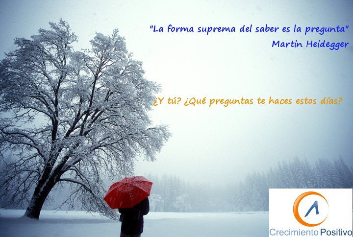 CrecimientoPos's tweet photo. "La forma suprema del saber es la pregunta". 
Martin Heidegger. https://t.co/AVoPJlBQ6x