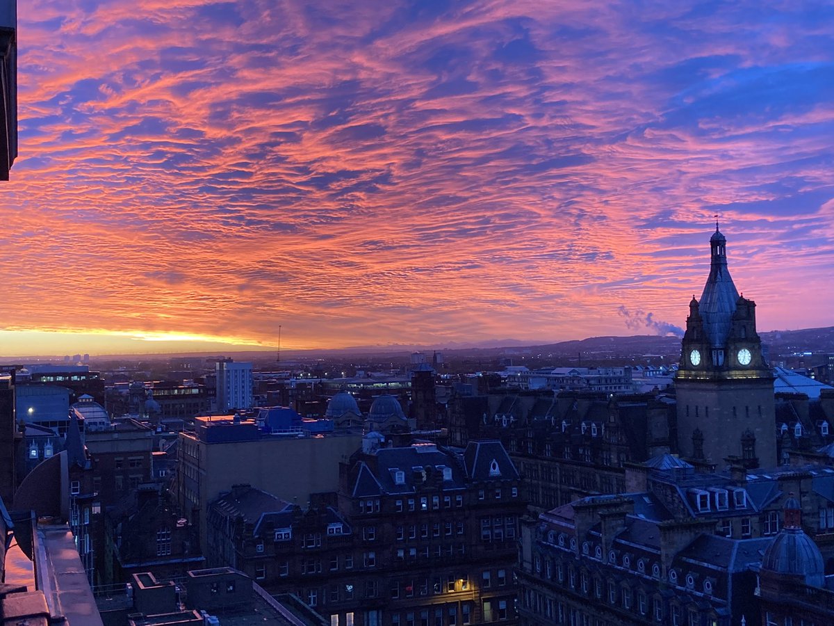 Ciaran Stark tweet media