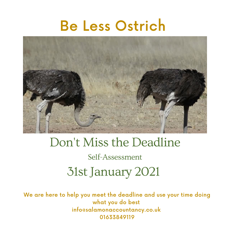 SalamonandCo's tweet photo. 96 days - submit the 2020 Tax Returns.  Do you need the 12-month Time to Pay extension?  HMRC will not discuss until your 2020   Return has been filed  
 getting your affairs in order early will greatly help you.
#timetopay #tax #selfassessment #beproactive https://t.co/xE1WlEOQR6