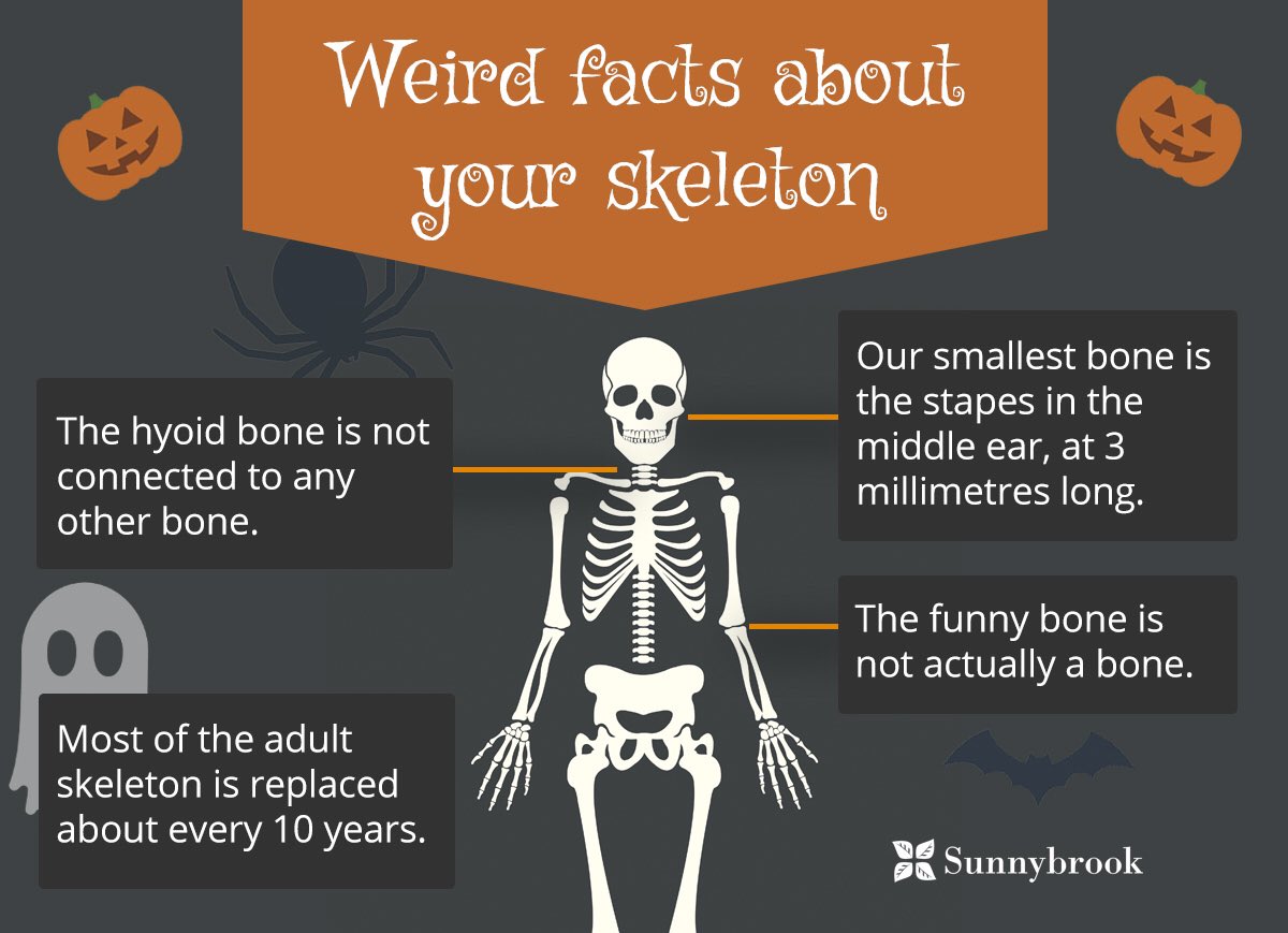 Vie_Medic's tweet photo. #halloweenfun🎃 
What weird &amp; interesting facts do you know ...... ?? 
Medical 🚑🩺💉
Historical 📰📚
Scientific 🔬🔭
Sporting 🧗🏻🚵🏼🏄🏻‍♀️⛸🎿⛷
you name it .......
#VMS 
#qualitysaveslives 
#professionalmedics  #No1MedicalTeam
#eventplanning
#eventmedical
#firstaidtraining https://t.co/C7TlZ7p9DQ