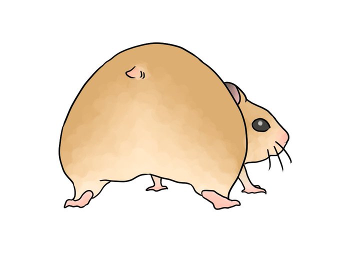 慣用句のtwitterイラスト検索結果