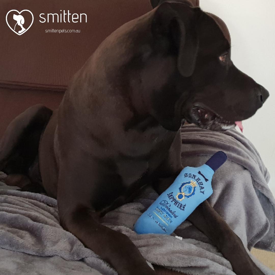 SmittenPets's tweet image. Boston loves his Bonebay Saphire Gin squeaker toy 🐾 
#squeakytoy #dogdiggindesigns #dogtoys