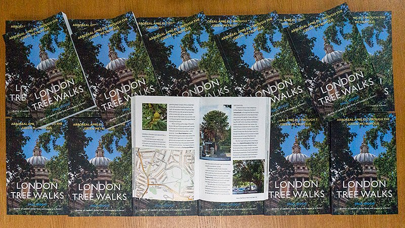 Paul Wood 🌳 tweet media