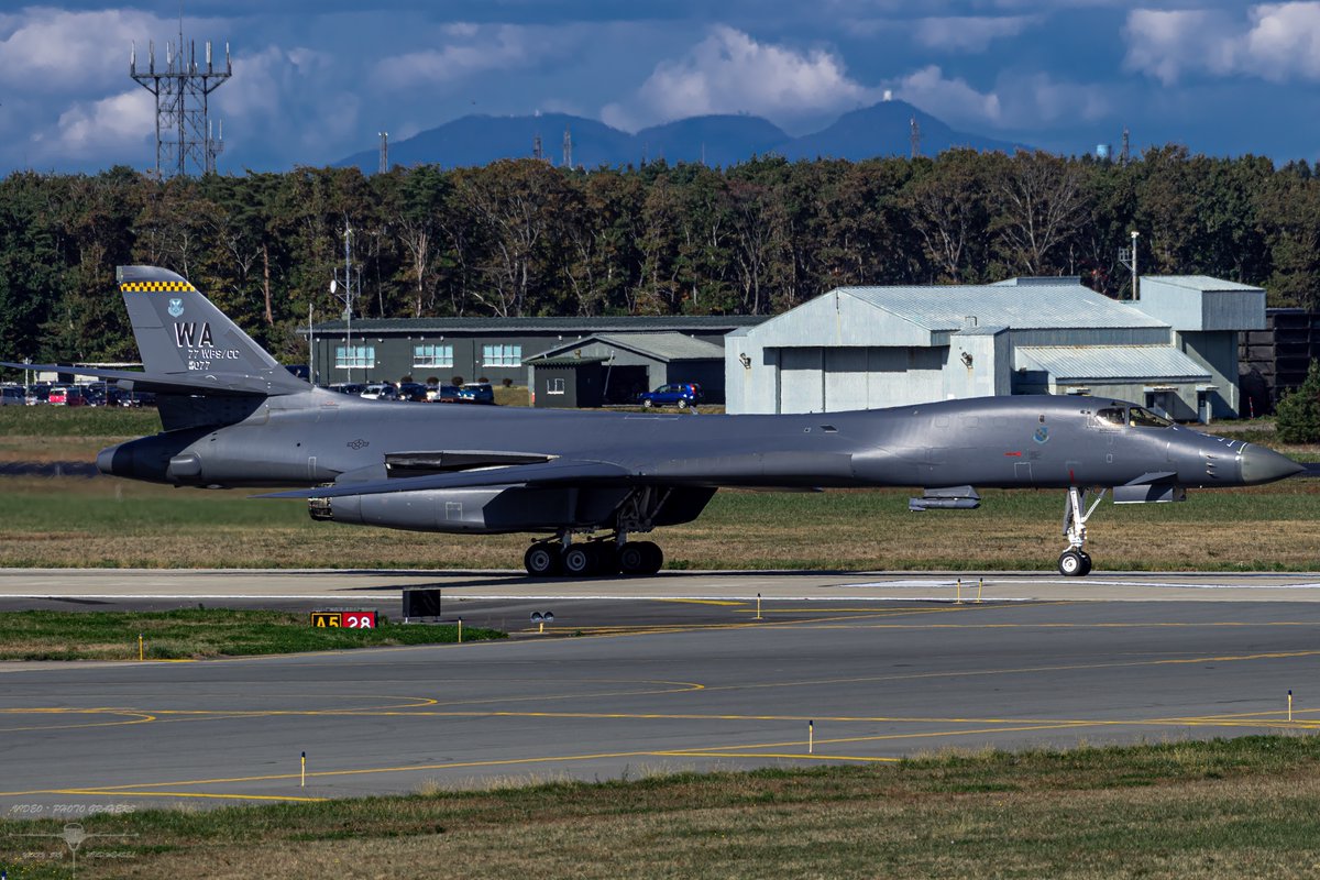 Wild Weasel tweet media