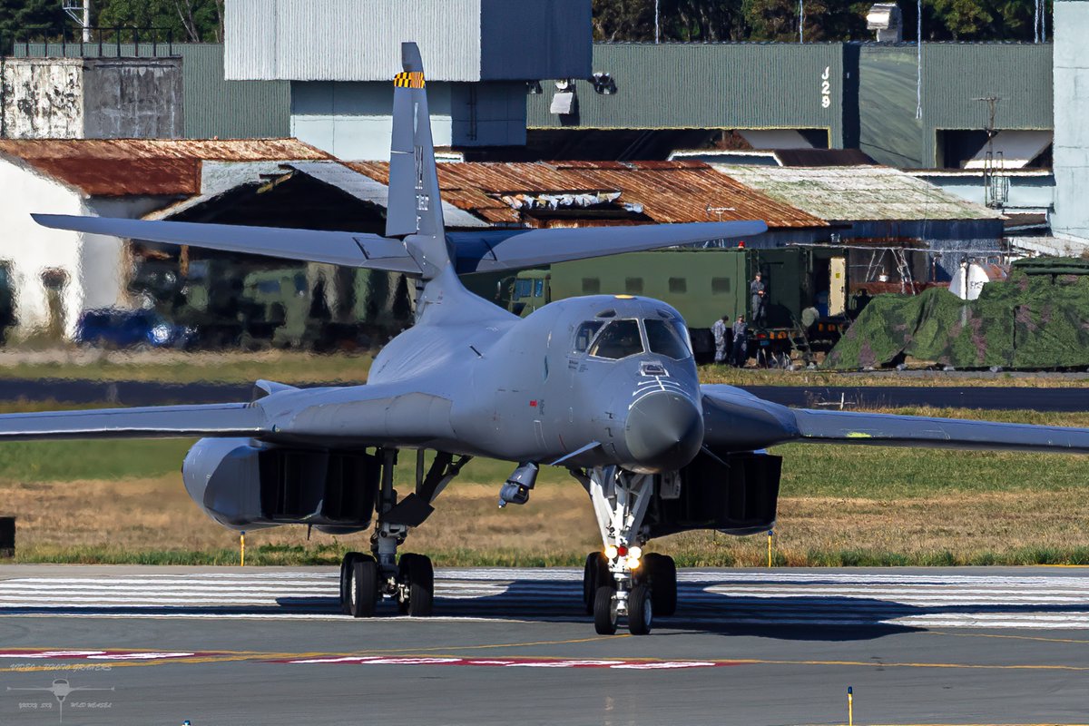 Wild Weasel tweet media