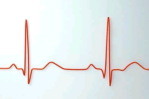 Panda Heart 🐼 ❤ tweet media