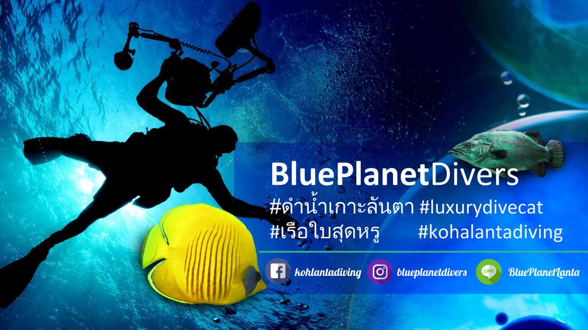 divinglanta's tweet photo. Who's ready to dive again? @kohlantathailand #scubadiving #blueplanetdivers #Thailand #KohLanta https://t.co/DDNQHnXiya