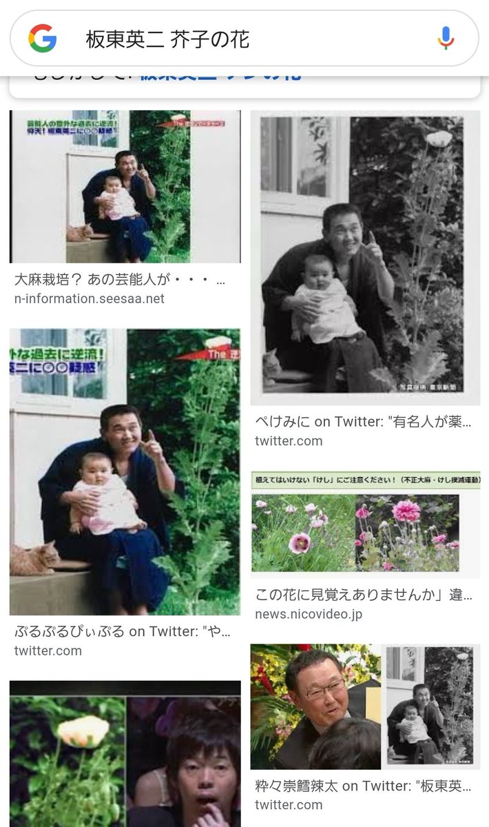 ピエール手塚 Twitterren 青い彼岸花 板東英二の家族写真で急に見つかったらよかったのにな