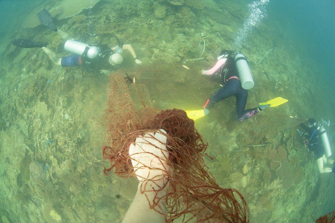 divedownbelow's tweet photo. We r taking action bt need support, pls donate n help us free #discardednets frm our local reefs.We dont want free handout #workforconservation #DownbelowDiveCentre @projectaware @Seasaver @cnni @BBCWorld @aplastic_planet @PlasticPollutes @PADI pls share https://t.co/LrdclBlor6 https://t.co/rGs3O4qEIj