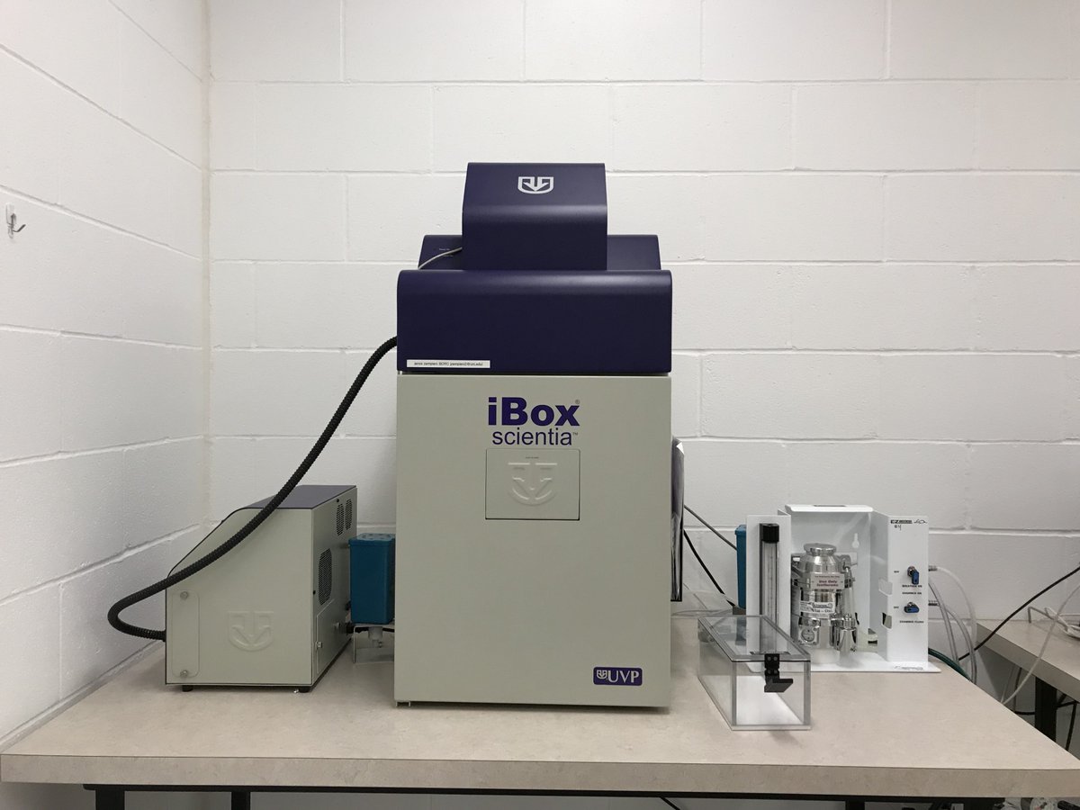 iBox. Medical imaging device for mice