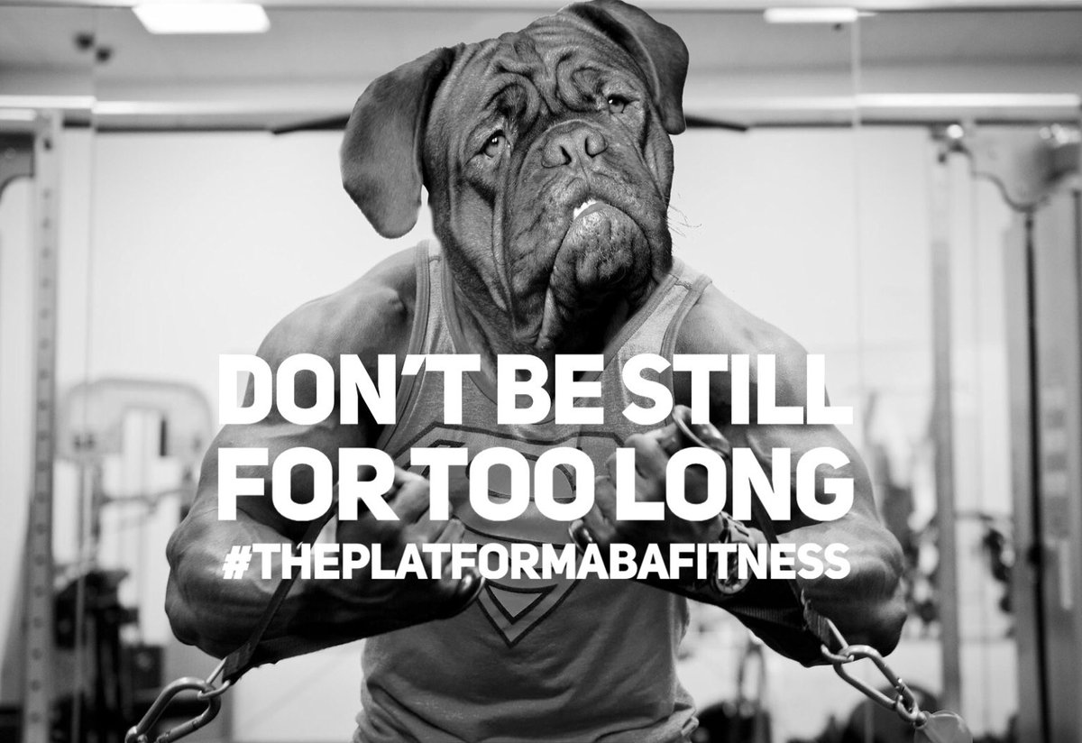 ThePlatFormaba's tweet photo. DM me for your first FREE class! #americandisabilityact #cerebralpalsy #autismmom #autismspeaks #supportautism #youmightbeanautismparentif #Fitness #specialolympics #autismawareness #specialneeds #differentnotless #specialneedsfamily #support #familysupport #ActuallyAutistic https://t.co/Py0JwigvU0