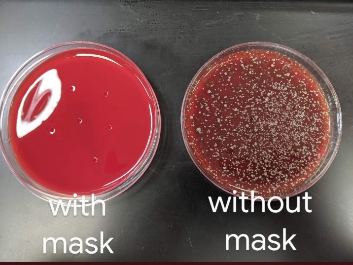 amriana's tweet photo. When You sneeze into a petri dish
#WearingAMask
#NotWearingAMask
Educate yourself #Trumpsters!!!
@realDonaldTrump
He got somebody else's plasma with antibodies&all the best care that most people
#CanNotAfford!!!
#HerdImmunityDoesNotWork45
ButYouDoNotComprehendScience! https://t.co/HzpfDuOsyG
