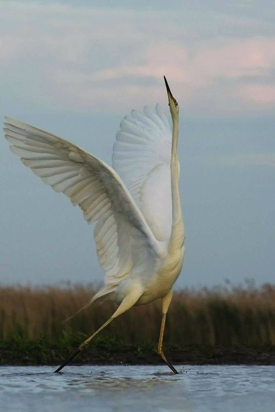 ImperfectGirl07's tweet photo. 💟

Spread your wings and fly away
Fly away far away
Spread your little wings and fly away
Fly away far away
Pull yourself together
'Cause you know you should do better
That's because you're a free man

📝 Queen - Spread Your Wings
📝 https://t.co/z6WJxRI8mT https://t.co/ohBOT7ztkq