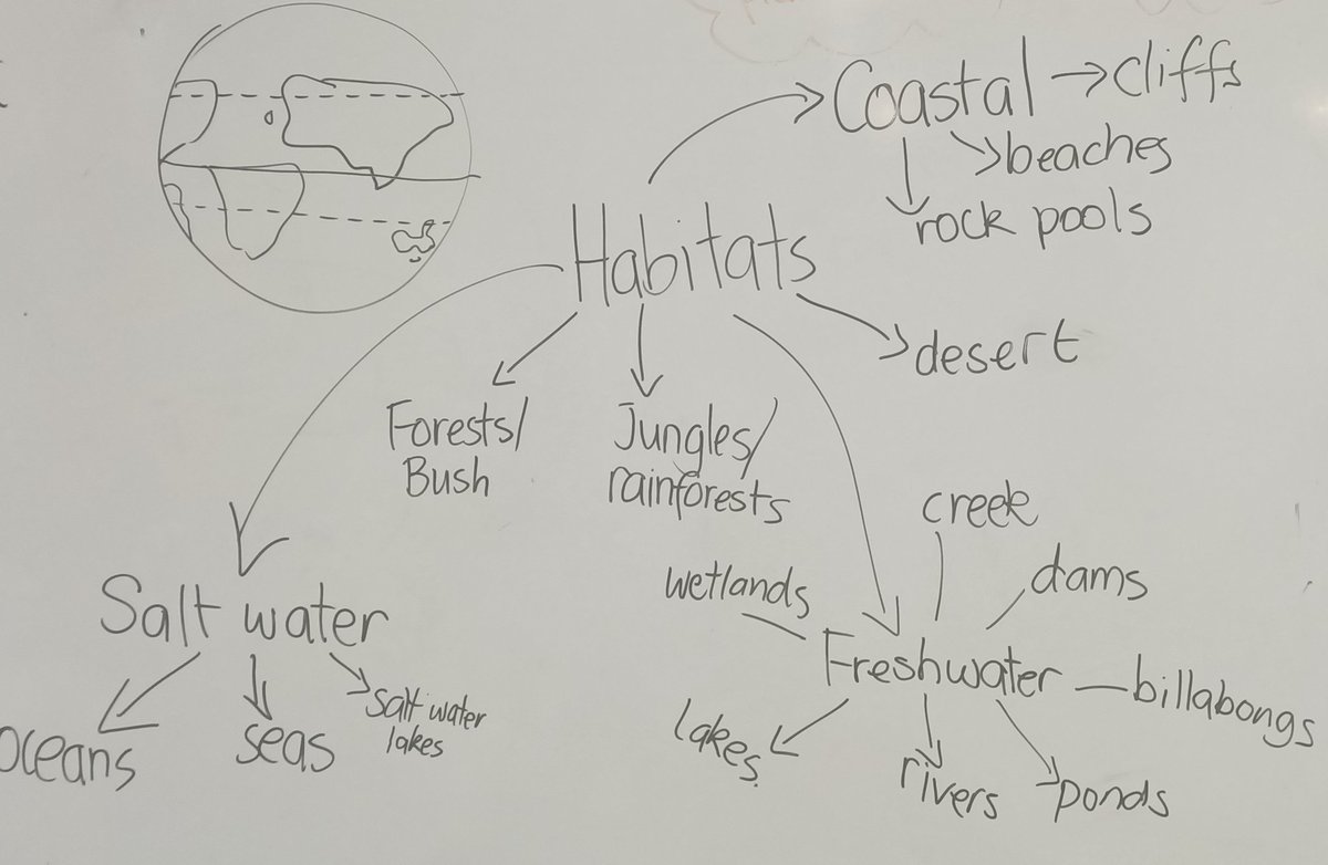 bnwps_jess's tweet photo. A snapshot from today's @BnwpsEnviro session with Shalani 🌏 https://t.co/Aci5WnGaas