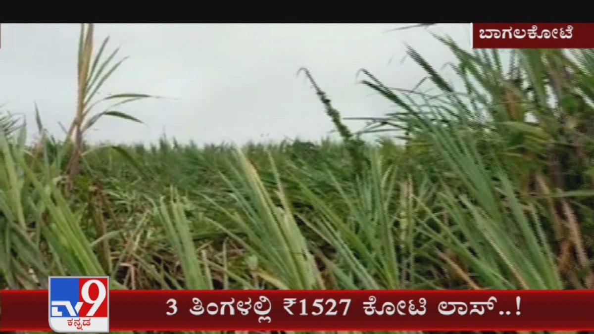 Govt gives Rs10,000 for 353 flood-hit families in Bagalkot

Video Link ►youtu.be/6cox7PanScA

#Bagalkot #Government #Floodrelieffund #Floodhitfamilies #Tv9kannada #Kannadanews