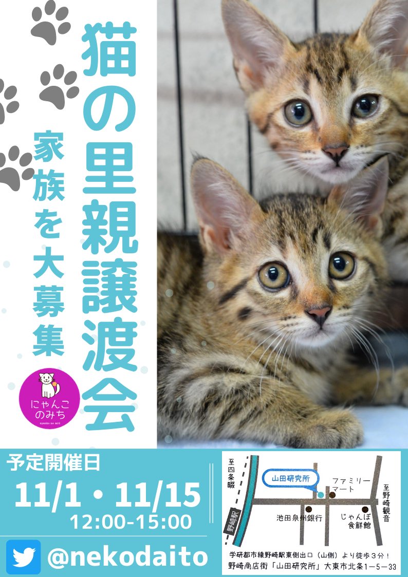 にゃんこのみち 野崎商店街から発信 Nekodaito Twitter