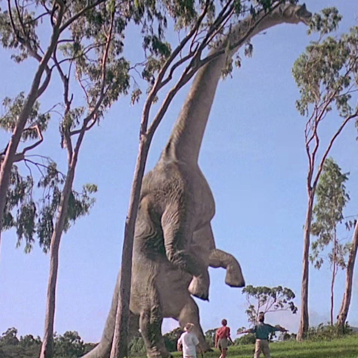 Galen Kehler tweet media