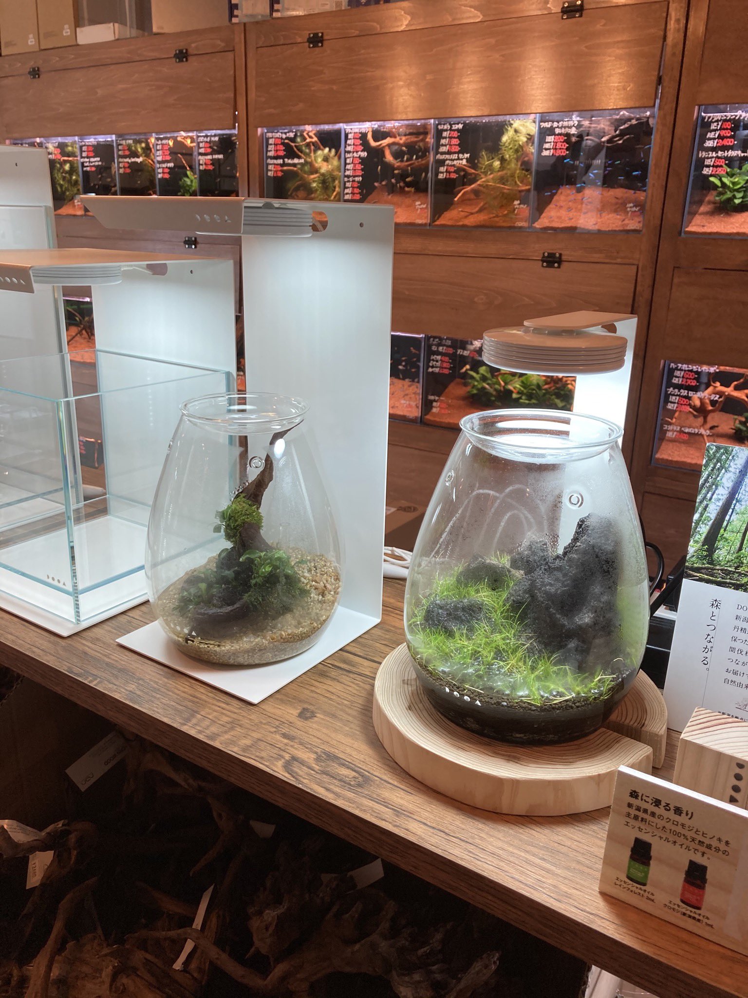 スタイリッシュシンプル ada lab ウッドベース130セット | alamiah.edu.sa