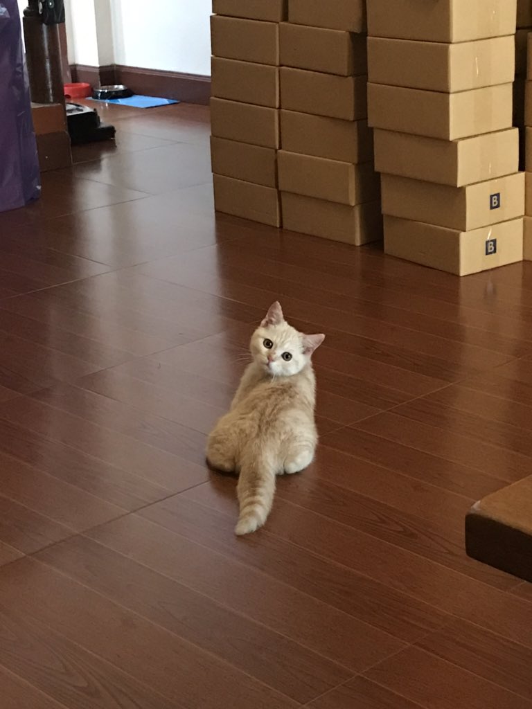 ชั้นแอบถ่ายมันละกรี้ด(ที่มันตัวใหญ่) มันหันมามองแบบ เปนเหี้ยไร