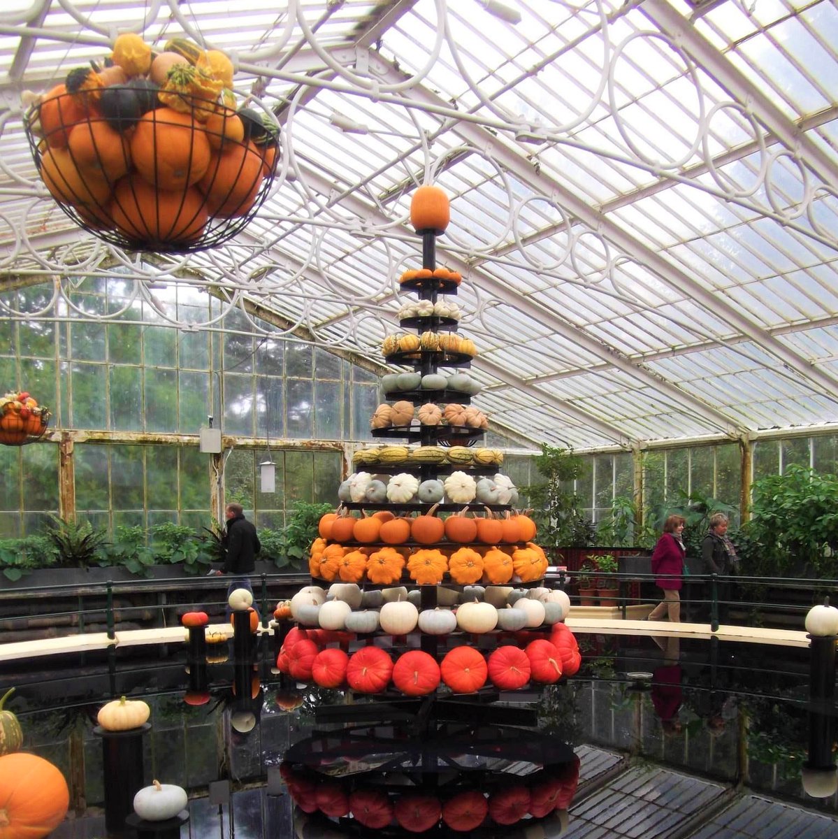 イギリス留学代行センター 公式 本日もハロウィンの写真 以前に訪れたキューガーデン Kew Gardens の温室 ロンドン南西部の王立植物園で ユネスコ世界遺産にも登録されています イギリス留学 キューガーデン Kewgardens イギリス ロンドン