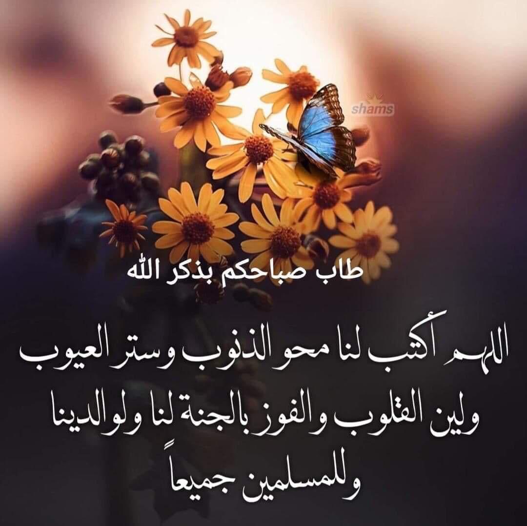 صباحكم فرح وسرور وتوفيق من الله سبحانه وتعالى ويسعدكم اينما كنتم وينور دروبكم ويكفيكم شرور الاشرار🤲🤲🤲🌹🌹🌹🌹🌹