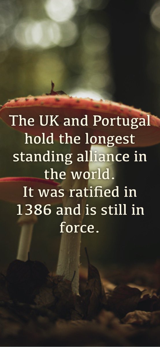 Redheadwytch's tweet image. #RandomFactOfTheDay