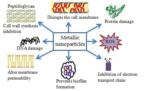 IJMS_MDPI's tweet photo. IJMS paper "Mechanistic Insights into the #Antimicrobial Actions of #MetallicNanoparticles and Their Implications for #Multidrug Resistance" by Sibhghatulla Shaikh, et al., please click below link to see detailed information: https://t.co/01tMx8TOsO https://t.co/YHhrnGDgVF