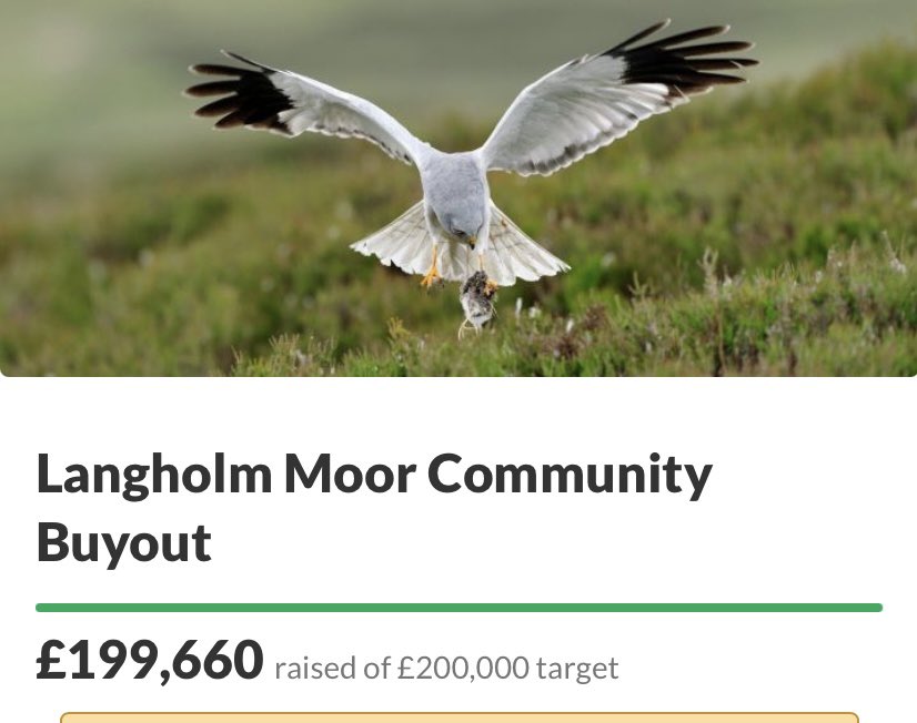 ✨Excellent support shown to @LBuyout who are within touching distance of an option to secure a #community buyout of #Langholm Moor 👏 A unique opportunity to create an ambitious legacy for the future of this innovative community 🦅 Well Done! Over 500 donations in past 24 hours!