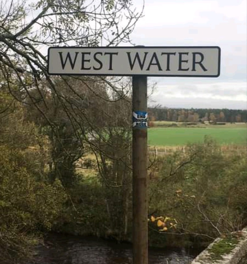 52. Stand still long enough and they'll sticker you too.  #Brechin  #Fettercairn  #Edzell  #vandals4indy https://twitter.com/BloodyPolitics/status/1321075447191535616?s=20