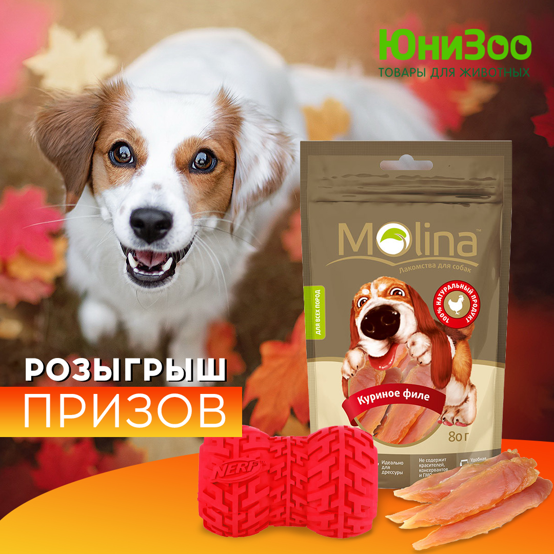 Юнизоо tweet media