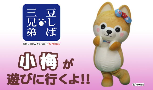 アミューズ Amufun 公式 着ぐるみイベント紹介 豆しば三兄弟達がみんなの街に遊びにくるかも ぜひ豆太郎達と一緒に写真を撮ってね 詳しくはコチラ T Co Zzzi0gifsf 豆しば三兄弟 ファンタジープラザ T Co Saatimgmyd アミューズ Amufun 公式 着ぐるみイベント紹介 豆しば三兄弟達がみんなの街に遊びにくるかも ぜひ豆太郎達と一緒に写真を撮ってね 詳しくはコチラ T Co Zzzi0gifsf 豆しば三兄弟 ファンタジープラザ T Co Saatimgmyd