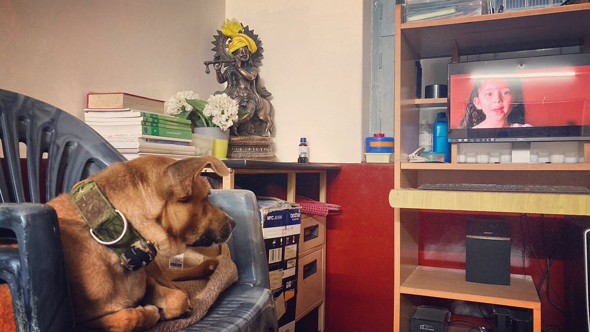 Even Dogs need Entertainment #dogsoftwitter #dogs #dogsofinstagram #dogstyle #dogsarelove #Photos #PhotoOfTheDay #photograghy #photographylovers #PhotographyIsArt #Entertainment #Entertainer #doggychallenge #doglovers #iPhoneSE2 #iPhone #photographers #appicoftheweek #bangalore https://t.co/7H6w0YaKGY