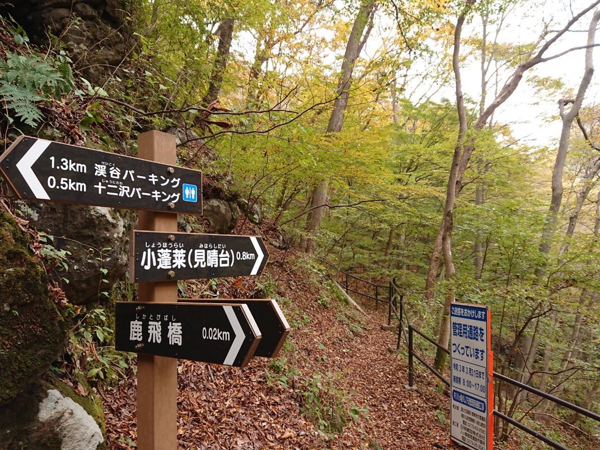吾妻峡紅葉状況(10/28)
見頃になってきました!
通行止めになっていたハイキングコース(鹿飛橋〜小蓬莱)は通行可能になりました。
険しい道ですので、山登りができるような格好でお願いします 。
#東吾妻町観光協会 #道の駅あがつま峡 #吾妻峡 #ハイキングコース #群馬県 #群馬県吾妻郡東吾妻町 https://t.co/AxVLE7erxU