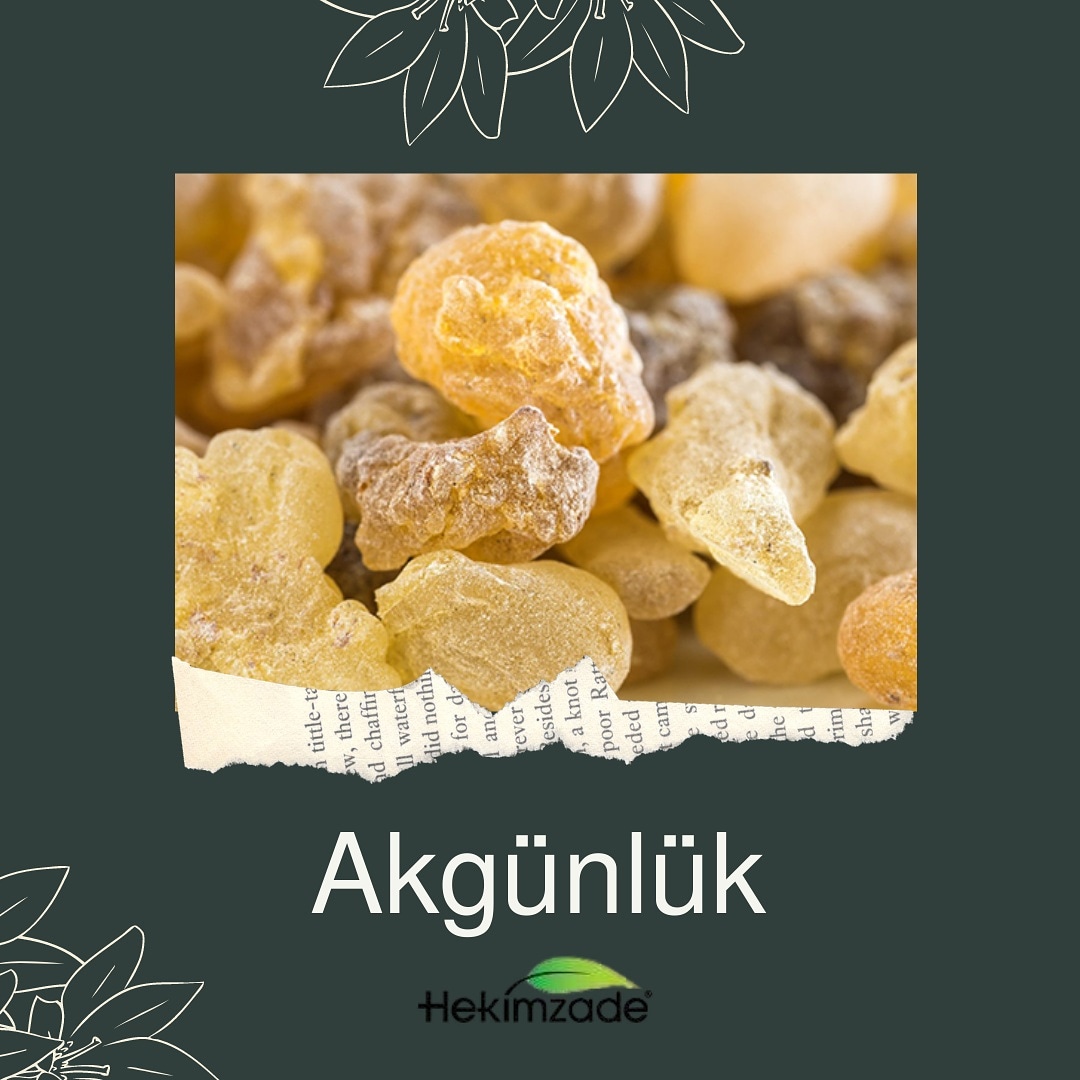 Hekimzade_com's tweet photo. ✅Mide ülseri : Günlük öğütülüp balla macun yapılıp aç karnına birer çay kaşığı yenmeye devam edilir.
✅Gastrit : Günlük öğütülüp balla macun yapılıp aç karnına birer çay kaşığı yenmeye devam edilir.
✅Öksürük : Günlük öğütülüp balla macun yapılarak yenir
 #drmuammeryıldız https://t.co/KWeVwcyhwP