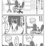 目が合うと返事をする猫ちゃん。夢の中でもしっかり返事？