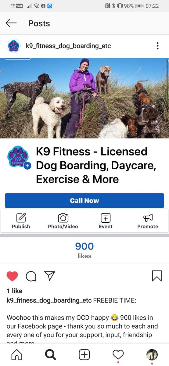 K9FitnessLtd's tweet photo. ⚠️ FREEBIE ALERT ⚠️
To celebrate 900 likes on our FB page, we're giving away a fab hamper full of goodies for your dog.🐶 See the images below for the details &amp; terms. Check out our fb page too😊 https://t.co/LkakPmDRDi
#westsussex #dogboarding #dogwalker #freebie #FreebieFriday https://t.co/hgKIJQx0y1