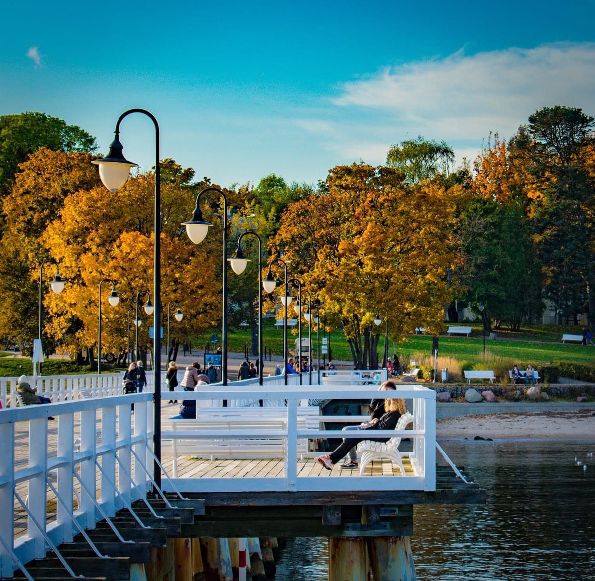 visitgdynia's tweet photo. Złota jesień w Orłowie pełną parą! 🍂

📸: Łukasz Baxter Pałuba

#️⃣Oznacz na swoim zdjęciu: @visitgdynia/#visitgdynia lub prześlij przez Messenger'a dzięki wirtualnemu asystentowi (wyszukaj: @visitgdynia)! https://t.co/CP5zcJqpbk