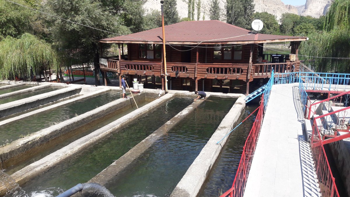 BAYRAM899 tweet picture