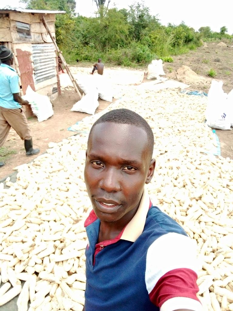 At least use simple drying materials (taurplains) to a void food toxicity (aflatoxins)