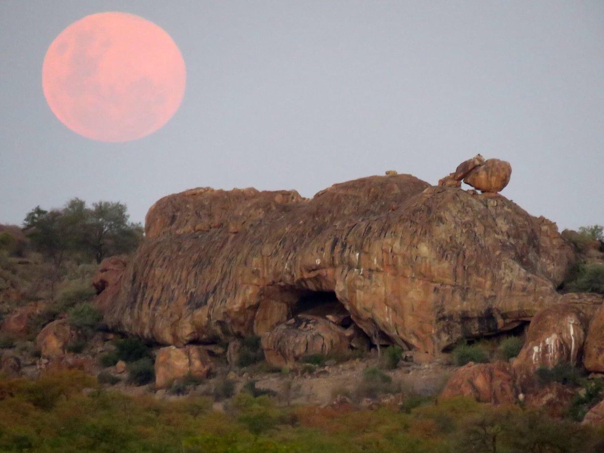 VisitBeitbridge's tweet photo. What an Amazing shelter we have there
#VisitBeitbridge
#ZimBho
#VakatshaZimbabwe https://t.co/JdBH7FWjDL