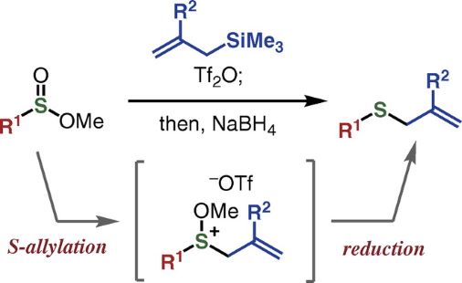 CSJjournals_jp's tweet photo. Sulfide | Sulfinate ester | Alkoxysulfonium
Article by Dr. Suguru Yoshida @ChemBioLab @TMDUniversity (Tokyo Medical and Dental University) is available as Open Access
#Sulfide #OnePotSynthesis
https://t.co/bYUUNNwFcL https://t.co/5cZEneeupp