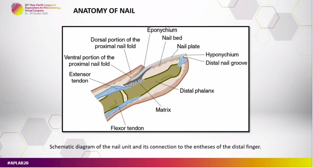 _connectedcare's tweet photo. The NAIL #APLAR20 https://t.co/rn0eFxOLSv