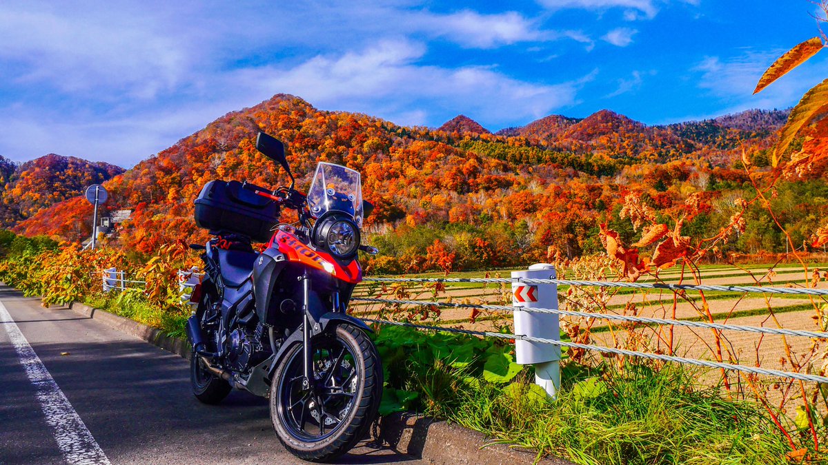 onostakushi's tweet photo. 定山渓らへんの紅葉🍁
秋はどこ走っても綺麗である
#vstrom250 https://t.co/bTf5716L3u
