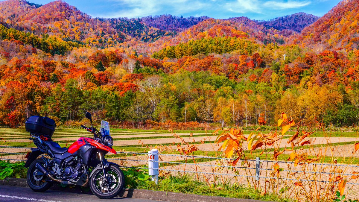 onostakushi's tweet photo. 定山渓らへんの紅葉🍁
秋はどこ走っても綺麗である
#vstrom250 https://t.co/bTf5716L3u
